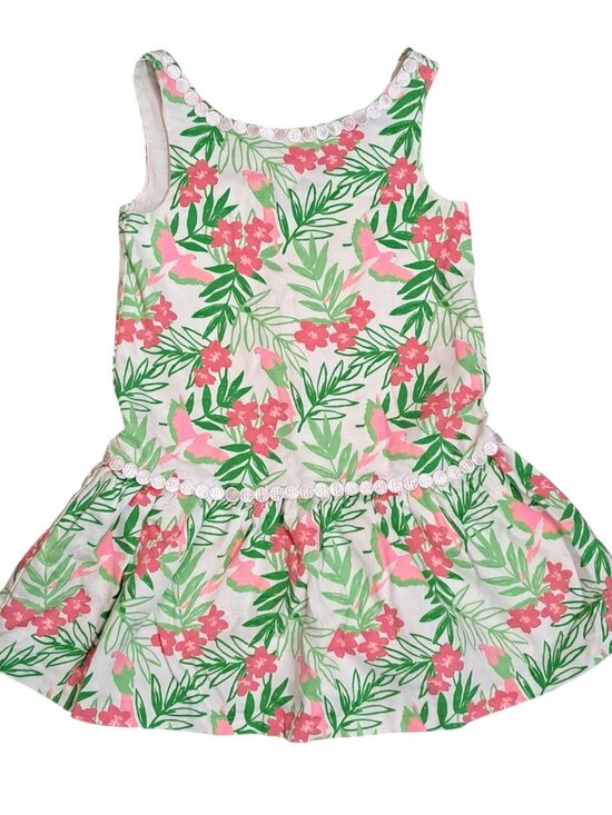 Janie And Jack Other - Janie and Jack 4 Floral Print Girls Sleeveless Dress Lace Trim Pink Sundress